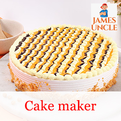 Cake maker Mrs. Poulami Sarkar in Kolkata Airport